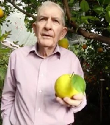 Man in pink dress shirt holding citrus fruit
